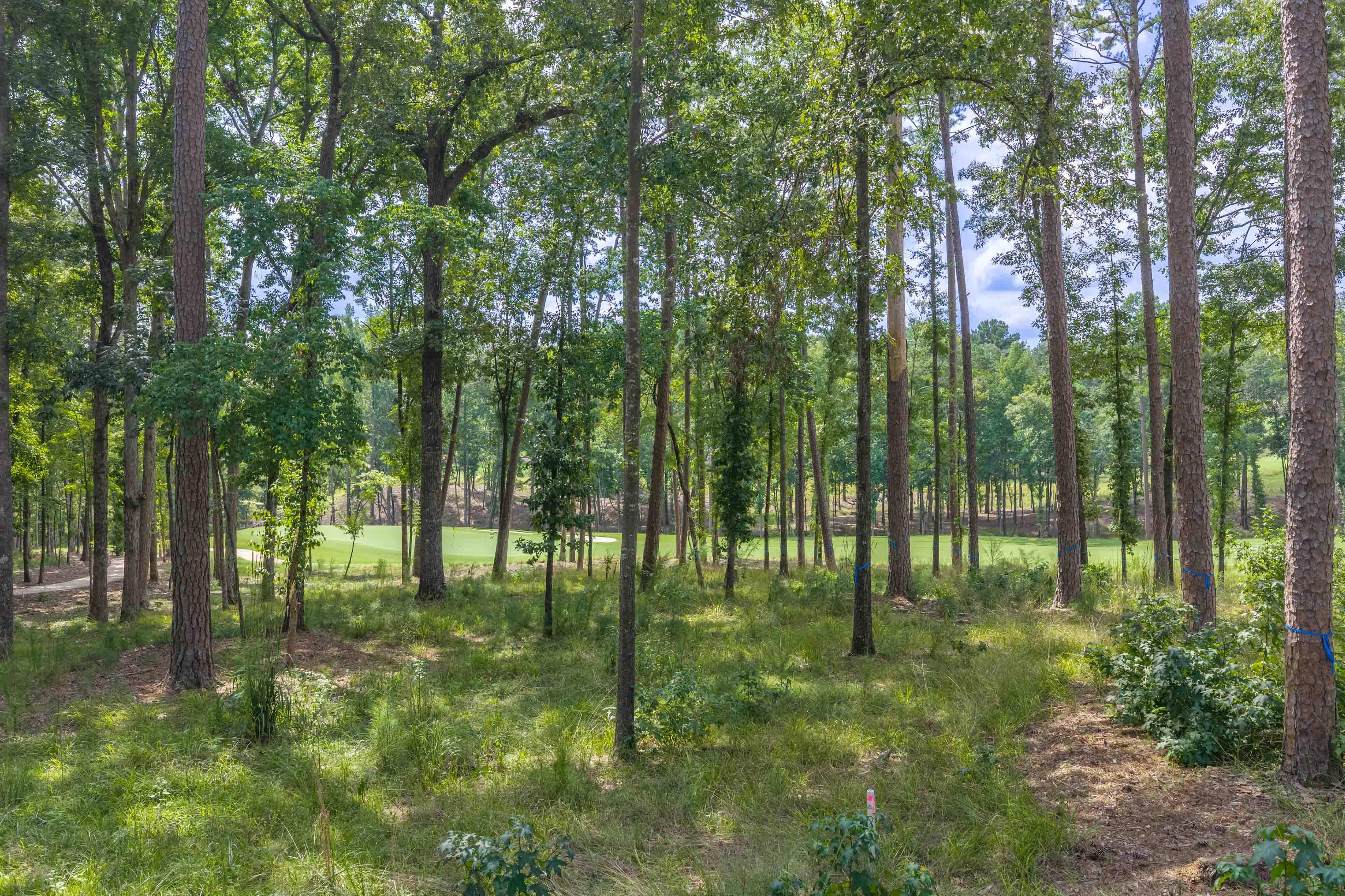 1131 Grove Ridge View image 8